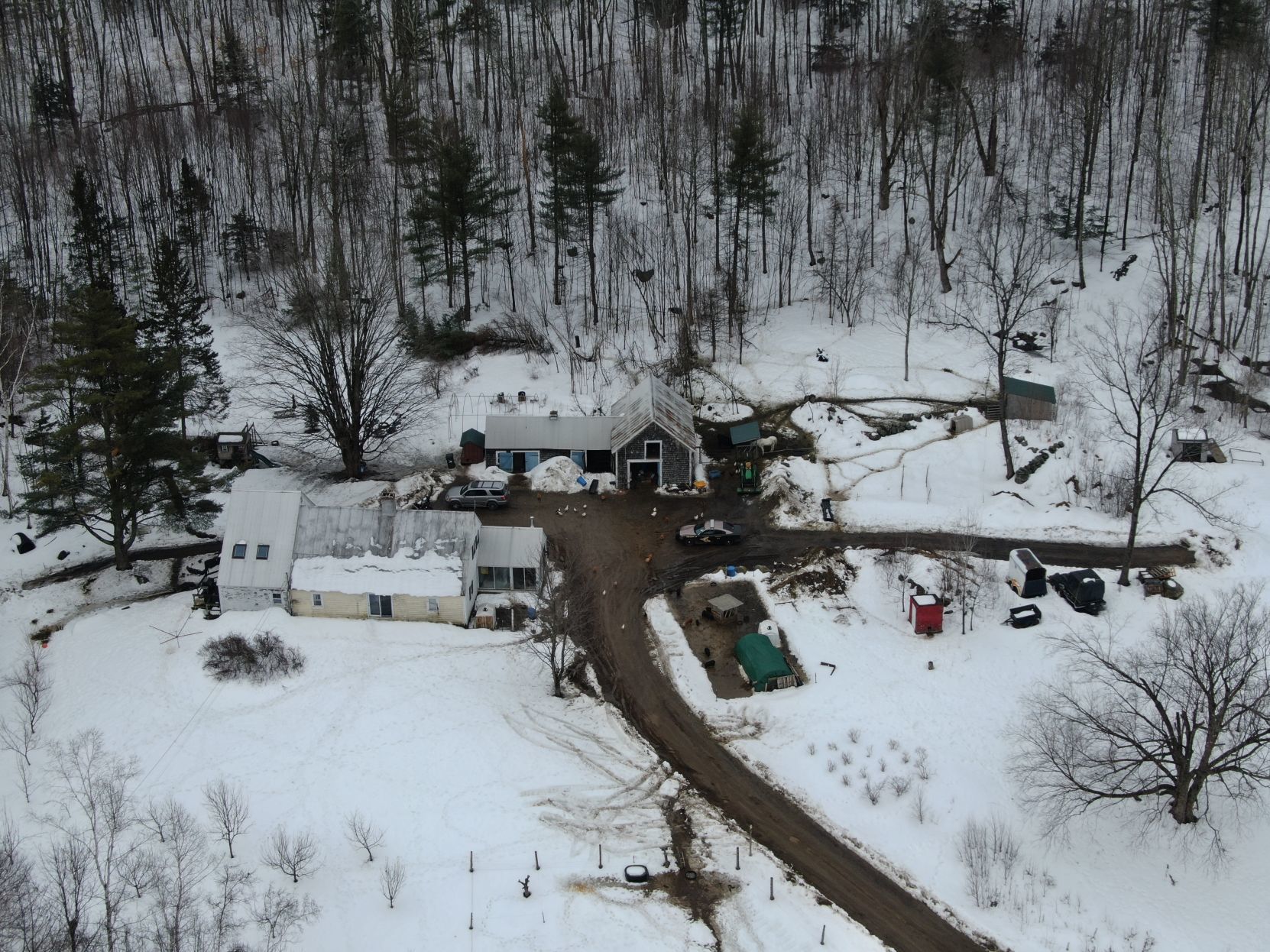 Alton fatal aerial